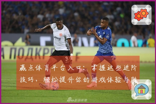 赢点体育平台入口：掌握这些进阶技巧，轻松提升你的游戏体验与胜率！