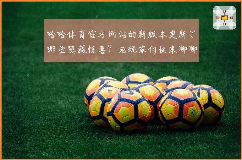 哈哈体育官方网站的新版本更新了哪些隐藏惊喜？老玩家们快来聊聊！